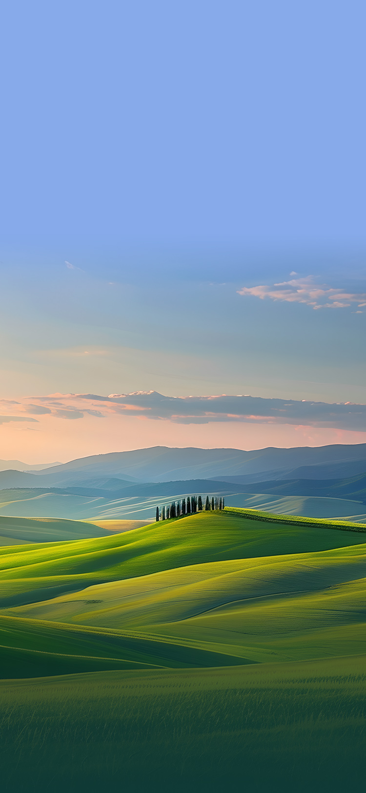 k8凯发(中国)官方网站