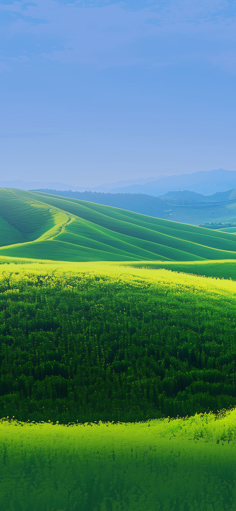 k8凯发(中国)官方网站