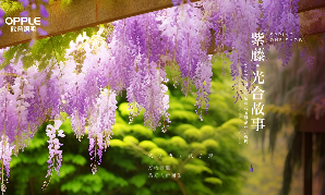 2024k8凯发国际照明紫藤花节暨企业开放周开幕：技术驱动，生生不息